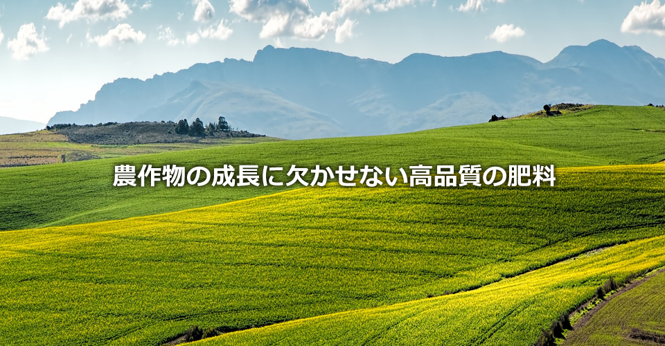 東洋アグロは、農作物の成長に欠かせない高品質の肥料を提供致します。